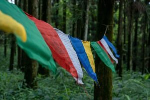 Top Monasteries to Visit in Sikkim: A Journey Written in Silence