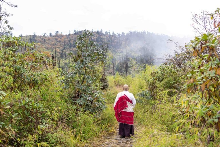 Copy of Copy of 0S0A9484