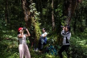 Top Adventure Activities in North East India