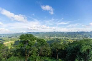 A Journey Into the Heart of Arunachal Pradesh: The Ziro Valley