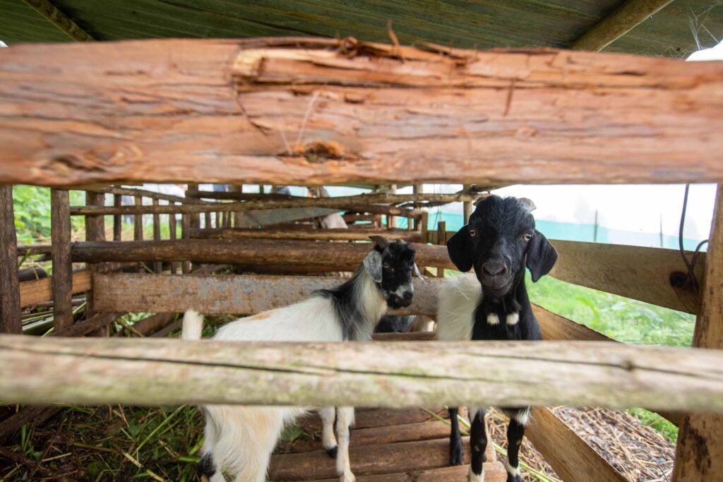 Experiential Tourism