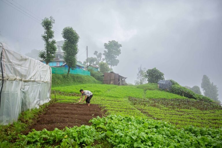 Experiential Tourism